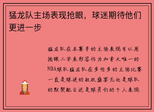 猛龙队主场表现抢眼，球迷期待他们更进一步